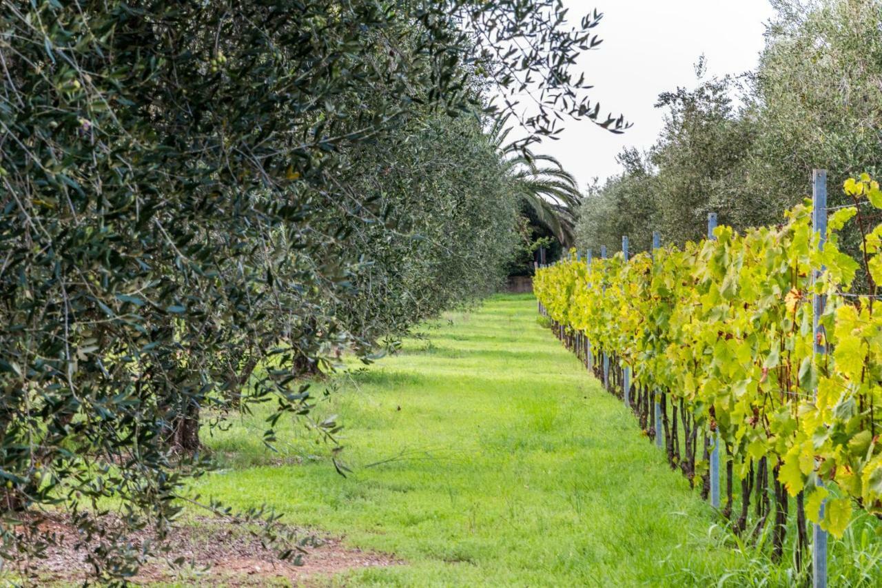 Isa Farm stay Follonica